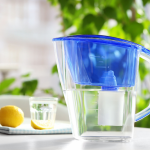 The Best Water Filtration System for Removing Bacteria and Viruses from Water